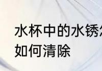 水杯中的水锈怎么处理 水杯中的水锈如何清除