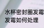 水杯密封圈发霉怎么处理 水杯密封圈发霉如何处理