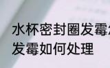 水杯密封圈发霉怎么处理 水杯密封圈发霉如何处理