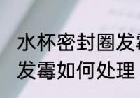 水杯密封圈发霉怎么处理 水杯密封圈发霉如何处理