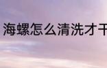 海螺怎么清洗才干净 海螺的清洗方法