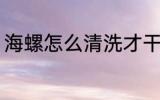 海螺怎么清洗才干净 海螺的清洗方法