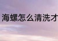海螺怎么清洗才干净 海螺的清洗方法