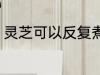 灵芝可以反复煮吗 灵芝能不能反复煮