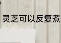 灵芝可以反复煮吗 灵芝能不能反复煮