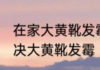 在家大黄靴发霉怎么洗掉霉斑 如何解决大黄靴发霉