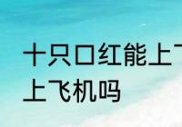 十只口红能上飞机吗 可以带十只口红上飞机吗
