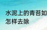 水泥上的青苔如何去除 水泥上的青苔怎样去除