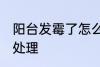 阳台发霉了怎么处理 阳台发霉了如何处理