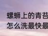 螺蛳上的青苔怎么去除 田螺上的青苔怎么洗最快最干净