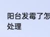 阳台发霉了怎么处理 阳台发霉了如何处理
