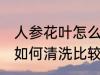 人参花叶怎么清洗比较干净 人参花叶如何清洗比较干净