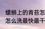 螺蛳上的青苔怎么去除 田螺上的青苔怎么洗最快最干净