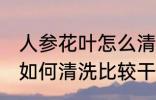 人参花叶怎么清洗比较干净 人参花叶如何清洗比较干净