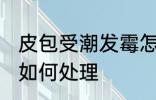 皮包受潮发霉怎么处理 皮包受潮发霉如何处理