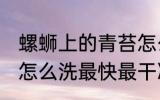螺蛳上的青苔怎么去除 田螺上的青苔怎么洗最快最干净
