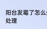 阳台发霉了怎么处理 阳台发霉了如何处理