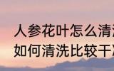 人参花叶怎么清洗比较干净 人参花叶如何清洗比较干净
