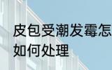 皮包受潮发霉怎么处理 皮包受潮发霉如何处理