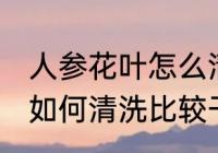 人参花叶怎么清洗比较干净 人参花叶如何清洗比较干净