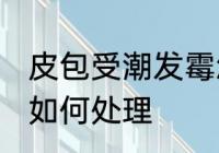 皮包受潮发霉怎么处理 皮包受潮发霉如何处理