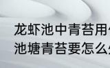 龙虾池中青苔用什么灭 养殖小龙虾的池塘青苔要怎么处理
