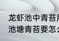 龙虾池中青苔用什么灭 养殖小龙虾的池塘青苔要怎么处理