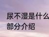 尿不湿是什么材料做的 尿不湿的组成部分介绍