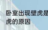 卧室出现壁虎是怎么回事 卧室出现壁虎的原因