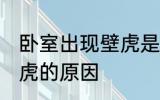 卧室出现壁虎是怎么回事 卧室出现壁虎的原因
