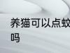 养猫可以点蚊香盘吗 养猫能点蚊香盘吗