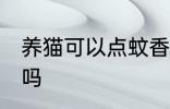 养猫可以点蚊香盘吗 养猫能点蚊香盘吗