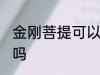 金刚菩提可以水洗吗 金刚菩提能水洗吗