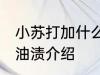 小苏打加什么去油渍 小苏打加什么去油渍介绍