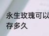 永生玫瑰可以保存多久 永生玫瑰能保存多久