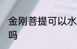 金刚菩提可以水洗吗 金刚菩提能水洗吗