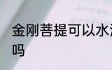 金刚菩提可以水洗吗 金刚菩提能水洗吗