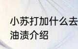 小苏打加什么去油渍 小苏打加什么去油渍介绍