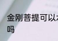 金刚菩提可以水洗吗 金刚菩提能水洗吗