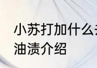 小苏打加什么去油渍 小苏打加什么去油渍介绍
