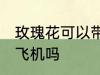 玫瑰花可以带上飞机吗 玫瑰花能带上飞机吗