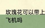 玫瑰花可以带上飞机吗 玫瑰花能带上飞机吗