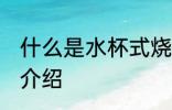 什么是水杯式烧水壶 水杯式烧水壶的介绍