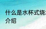 什么是水杯式烧水壶 水杯式烧水壶的介绍