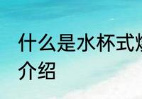 什么是水杯式烧水壶 水杯式烧水壶的介绍