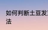 如何判断土豆发芽 判断土豆发芽的方法