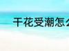 干花受潮怎么办 干花受潮的方法