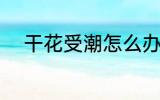 干花受潮怎么办 干花受潮的方法