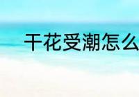干花受潮怎么办 干花受潮的方法