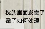 枕头里面发霉了怎么办啊 枕头里面发霉了如何处理